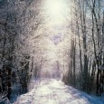 Joyeux Noël ! Ca y est l’heure des vacances de fin d’années a sonné pour moi ! Quelques jours pour me ressourcer, en famille et entre amis. Ne plus penser à l’autre monde, ne...