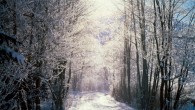 Joyeux Noël ! Ca y est l’heure des vacances de fin d’années a sonné pour moi ! Quelques jours pour me ressourcer, en famille et entre amis. Ne plus penser à l’autre monde, ne...